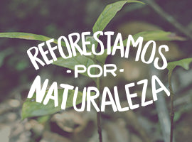 Reforestamos por Naturaleza